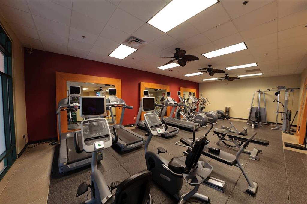 Embassy Suites Dallas - DFW Airport North Grapevine Facilidades foto